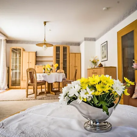 Aschauer Apartment *